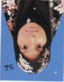 image-not-found